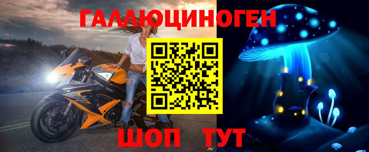 Галлюциногенные грибы Psilocybine cubensis Саратов